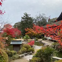 善水寺の写真・動画_image_567055