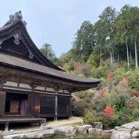 善水寺の写真・動画_image_567056