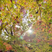長寿寺の写真・動画_image_567061