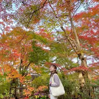 長寿寺の写真・動画_image_567063