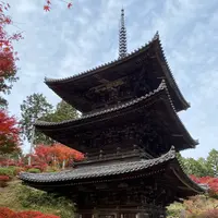 阿星山 常楽寺の写真・動画_image_567071