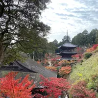 阿星山 常楽寺の写真・動画_image_567072