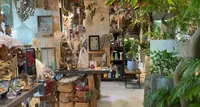 GREEN LOFT THE PARK（グリーン ロフト ザ パーク）の写真・動画_image_567083