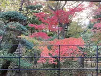 根津美術館の写真・動画_image_567099