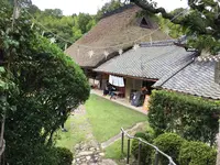 はなとねの写真・動画_image_567143