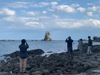 国定公園 雨晴海岸の写真・動画_image_567458