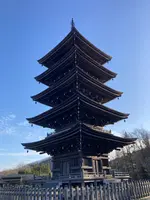 西方寺五重塔の写真・動画_image_568958