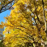 日比谷公園の写真・動画_image_569288