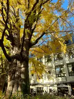日比谷公園の写真・動画_image_569291