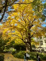 日比谷公園の写真・動画_image_569293