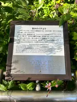 日比谷公園の写真・動画_image_569294