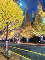 明治神宮外苑いちょう並木の写真・動画_image_569315