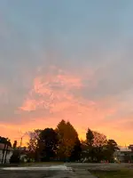 きつねやの写真・動画_image_569368