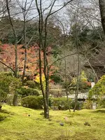 円通院の写真・動画_image_569661