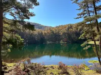 御射鹿池の写真・動画_image_569676