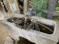 松林山 大圓寺（大円寺）（通称：大黒寺）の写真・動画_image_570436