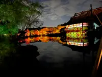 平安神宮の写真・動画_image_570454