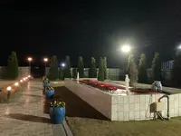 イラン料理サダフの写真・動画_image_570492