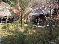 箱根湯寮の写真・動画_image_570563