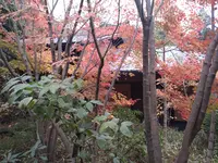 箱根湯寮の写真・動画_image_570568