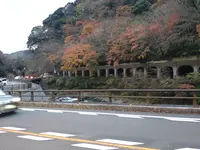 箱根湯寮の写真・動画_image_570601