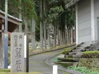 臼杵石仏（臼杵磨崖仏）の写真・動画_image_570822