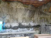臼杵石仏（臼杵磨崖仏）の写真・動画_image_570836