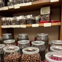 Jadis et Gourmandeの写真・動画_image_571282