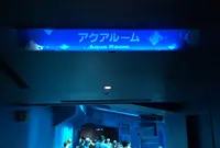 沖縄美ら海水族館の写真・動画_image_571327