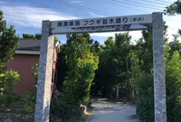 備瀬のフクギ並木の写真・動画_image_571337