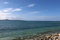 備瀬のフクギ並木の写真・動画_image_571398