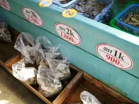 網元津田正水産の写真・動画_image_57185