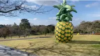 霧島アートの森の写真・動画_image_573202
