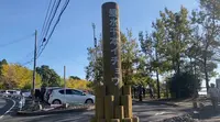垂水千本イチョウ園の写真・動画_image_573204