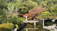 仙巌園の写真・動画_image_573318