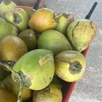 Dededo Flea market（デデドの朝市）の写真・動画_image_574545