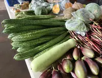 Dededo Flea market（デデドの朝市）の写真・動画_image_574548