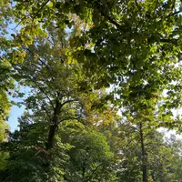 チッタデッラ公園の写真・動画_image_574849