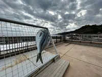漁港の駅 TOTOCO小田原の写真・動画_image_574985