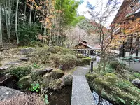 天成園の写真・動画_image_574992
