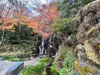 天成園の写真・動画_image_574993