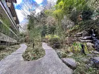 天成園の写真・動画_image_574994