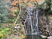 天成園の写真・動画_image_574996