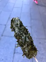 柴又帝釈天参道の写真・動画_image_575000