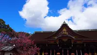 北野天満宮の写真・動画_image_575336