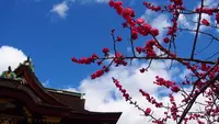 北野天満宮の写真・動画_image_575337