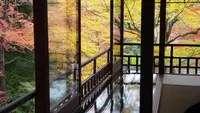 瑠璃光院の写真・動画_image_575382