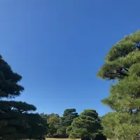 元離宮 二条城の写真・動画_image_575405