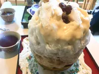 お茶と酒 たすき -Tea and Sake room TASUKI-の写真・動画_image_575418