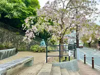 有馬温泉の写真・動画_image_575455